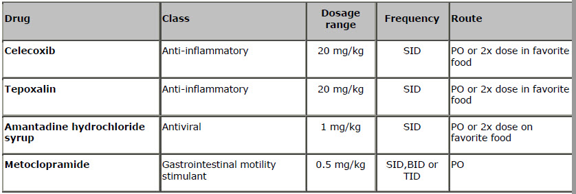 PDD key therapeutic points